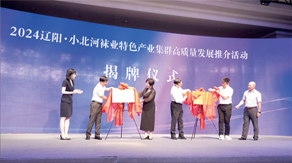 小北河镇袜业产业闪耀升级,共绘&ldquo;中国袜业名镇&rdquo;新篇章